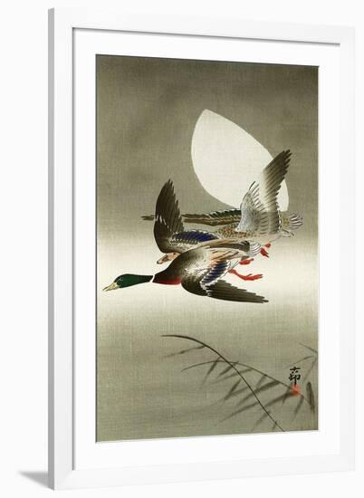 Two Mallards-Koson Ohara-Framed Giclee Print