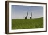 Two Mamenchisaurus Walking across a Grassy Field-null-Framed Art Print