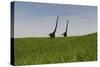 Two Mamenchisaurus Walking across a Grassy Field-null-Stretched Canvas