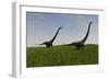 Two Mamenchisaurus Walking across a Grassy Field-null-Framed Art Print