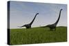 Two Mamenchisaurus Walking across a Grassy Field-null-Stretched Canvas