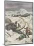Two Mammoths are Found Frozen in the Jamalm Peninsula 2400 Kilometres North of Saint Petersburg-Achille Beltrame-Mounted Art Print