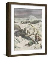 Two Mammoths are Found Frozen in the Jamalm Peninsula 2400 Kilometres North of Saint Petersburg-Achille Beltrame-Framed Art Print