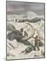 Two Mammoths are Found Frozen in the Jamalm Peninsula 2400 Kilometres North of Saint Petersburg-Achille Beltrame-Mounted Art Print