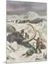 Two Mammoths are Found Frozen in the Jamalm Peninsula 2400 Kilometres North of Saint Petersburg-Achille Beltrame-Mounted Art Print