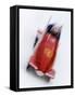 Two Man Bobsled in Action, Torino, Italy-Chris Trotman-Framed Stretched Canvas
