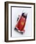 Two Man Bobsled in Action, Torino, Italy-Chris Trotman-Framed Premium Photographic Print