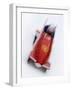 Two Man Bobsled in Action, Torino, Italy-Chris Trotman-Framed Photographic Print