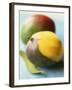 Two Mangos, One Partly Sliced-Philip Webb-Framed Photographic Print