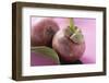 Two Mangosteens with Leaf-Foodcollection-Framed Photographic Print