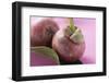 Two Mangosteens with Leaf-Foodcollection-Framed Photographic Print