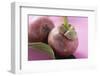 Two Mangosteens with Leaf-Foodcollection-Framed Photographic Print