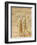 Two Meerkat or Suricate, Kgalagadi Transfrontier Park, South Africa-James Hager-Framed Photographic Print