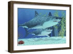 Two Megalodon Sharks from the Cenozoic Era-null-Framed Art Print