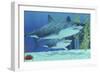 Two Megalodon Sharks from the Cenozoic Era-null-Framed Art Print