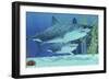 Two Megalodon Sharks from the Cenozoic Era-null-Framed Premium Giclee Print