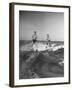 Two Men Behind Boat Which Is Not Seen, Water Skiing-null-Framed Photographic Print