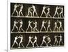 Two Men Boxing, from the 'Animal Locomotion; Series, C.1881-Eadweard Muybridge-Framed Photographic Print