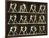 Two Men Boxing, from the 'Animal Locomotion; Series, C.1881-Eadweard Muybridge-Framed Photographic Print