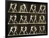 Two Men Boxing, from the 'Animal Locomotion; Series, C.1881-Eadweard Muybridge-Framed Photographic Print