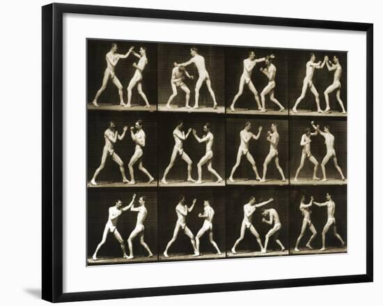Two Men Boxing, from the 'Animal Locomotion; Series, C.1881-Eadweard Muybridge-Framed Photographic Print