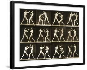 Two Men Boxing, from the 'Animal Locomotion; Series, C.1881-Eadweard Muybridge-Framed Photographic Print