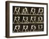 Two Men Boxing, from the 'Animal Locomotion; Series, C.1881-Eadweard Muybridge-Framed Premium Photographic Print