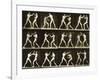 Two Men Boxing, from the 'Animal Locomotion; Series, C.1881-Eadweard Muybridge-Framed Photographic Print