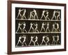 Two Men Boxing, from the 'Animal Locomotion; Series, C.1881-Eadweard Muybridge-Framed Photographic Print