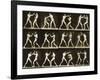 Two Men Boxing, from the 'Animal Locomotion; Series, C.1881-Eadweard Muybridge-Framed Photographic Print