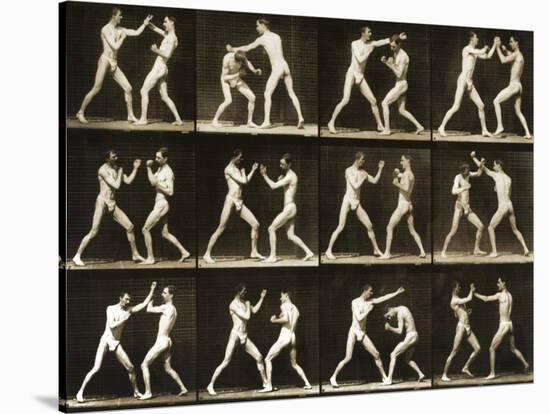 Two Men Boxing, from the 'Animal Locomotion; Series, C.1881-Eadweard Muybridge-Stretched Canvas