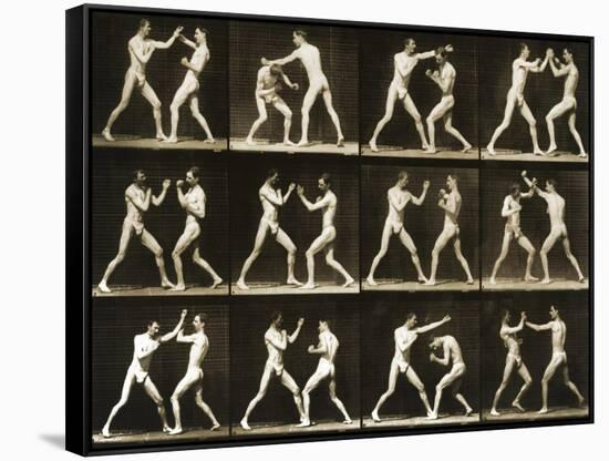 Two Men Boxing, from the 'Animal Locomotion; Series, C.1881-Eadweard Muybridge-Framed Stretched Canvas