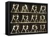 Two Men Boxing, from the 'Animal Locomotion; Series, C.1881-Eadweard Muybridge-Framed Stretched Canvas