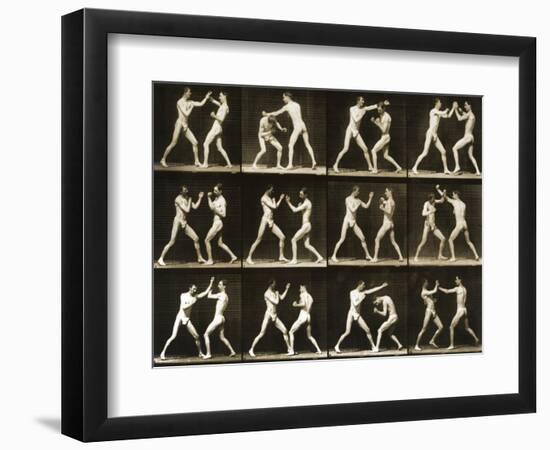 Two Men Boxing, from the 'Animal Locomotion; Series, C.1881-Eadweard Muybridge-Framed Photographic Print