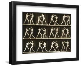 Two Men Boxing, from the 'Animal Locomotion; Series, C.1881-Eadweard Muybridge-Framed Photographic Print