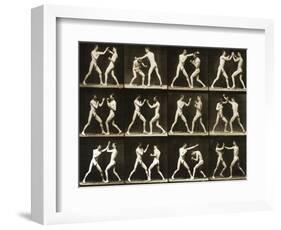 Two Men Boxing, from the 'Animal Locomotion; Series, C.1881-Eadweard Muybridge-Framed Photographic Print