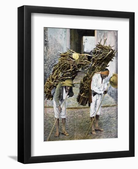 Two Men Carrying Bundles of Wood on their Backs, Mexico, Early 20th Century-null-Framed Premium Giclee Print