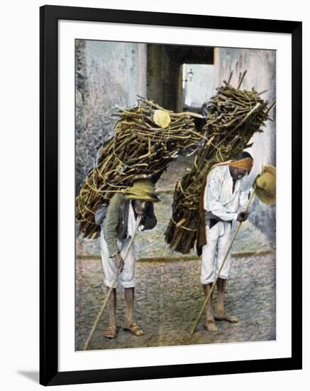 Two Men Carrying Bundles of Wood on their Backs, Mexico, Early 20th Century-null-Framed Giclee Print