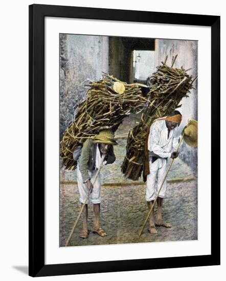 Two Men Carrying Bundles of Wood on their Backs, Mexico, Early 20th Century-null-Framed Giclee Print