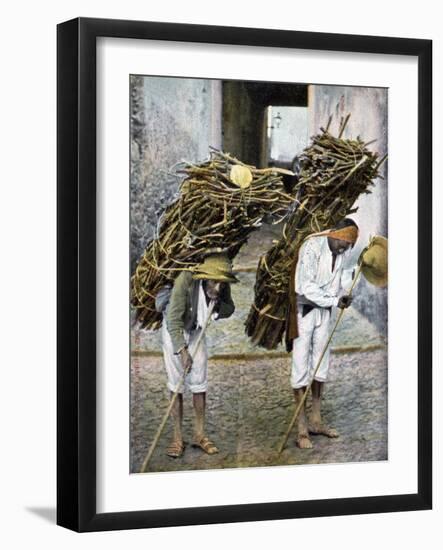 Two Men Carrying Bundles of Wood on their Backs, Mexico, Early 20th Century-null-Framed Giclee Print