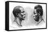 Two Men from French Guinea, C1850-1890-Emile Antoine Bayard-Framed Stretched Canvas
