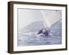 Two Men in a Small Sailboat, New Zealand-null-Framed Photographic Print