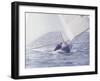 Two Men in a Small Sailboat, New Zealand-null-Framed Photographic Print