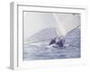 Two Men in a Small Sailboat, New Zealand-null-Framed Photographic Print