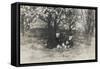 Two Men under a Tree with Dog-null-Framed Stretched Canvas