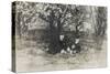 Two Men under a Tree with Dog-null-Stretched Canvas