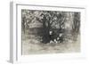 Two Men under a Tree with Dog-null-Framed Photographic Print