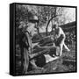 Two Men Using a Crosscut Saw on a Log-null-Framed Stretched Canvas