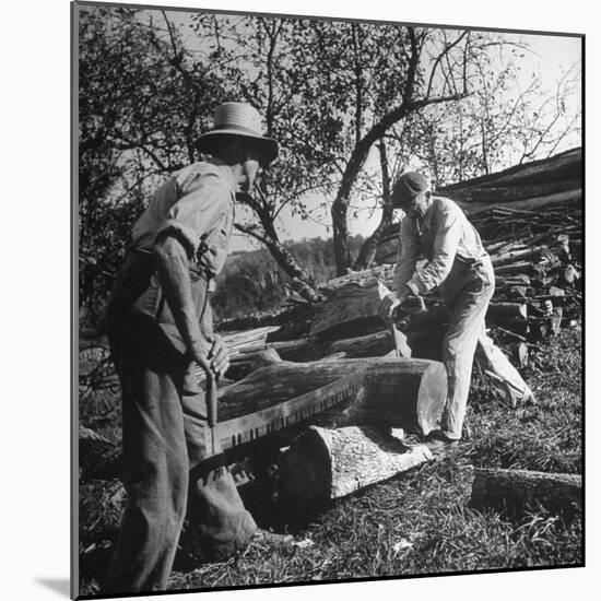 Two Men Using a Crosscut Saw on a Log-null-Mounted Photographic Print