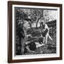 Two Men Using a Crosscut Saw on a Log-null-Framed Photographic Print